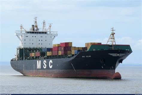 msc celine imo.